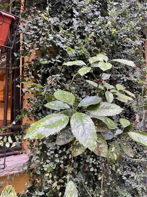 Loft Di Design Nel Cuore Di Milano Екстериор снимка